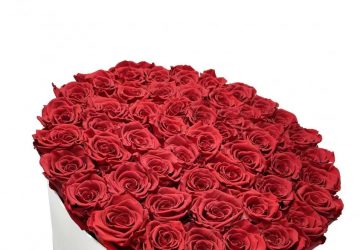 50 rose rosse stabilizzate