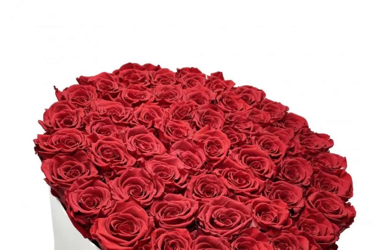 50 rose rosse stabilizzate