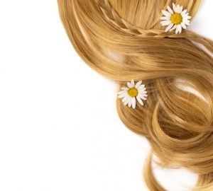camomilla capelli