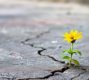 Resilienza: come si riconosce nelle azioni di tutti i giorni