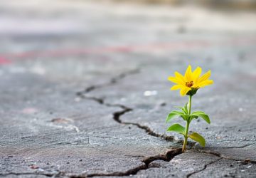 Resilienza: come si riconosce nelle azioni di tutti i giorni