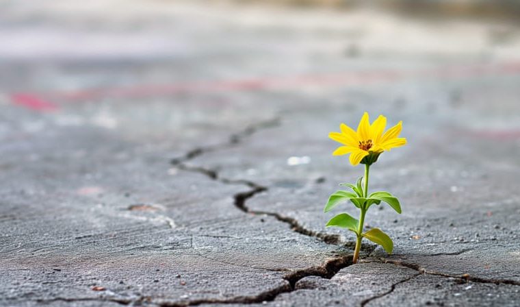 Resilienza: come si riconosce nelle azioni di tutti i giorni